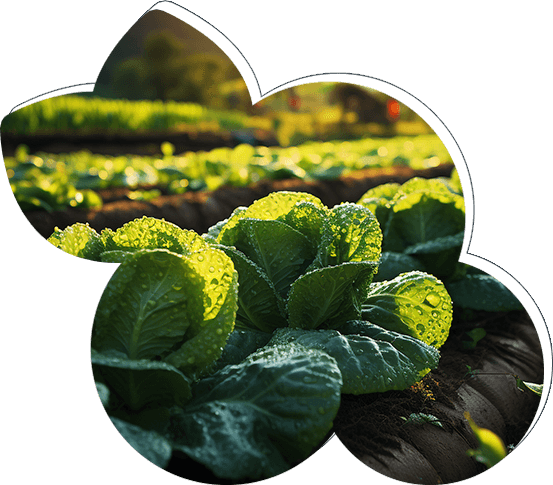 Unekalaa promoting district wise Indian traditional products and ODOP marketplace